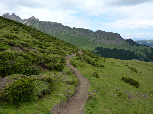 p1000631.jpg