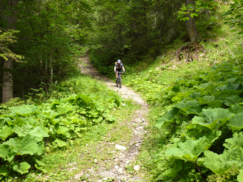 p1000640.jpg