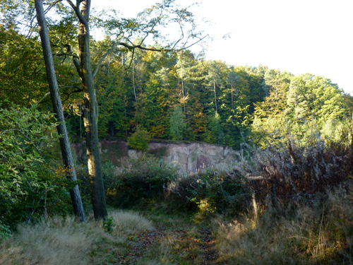 p1010372.jpg