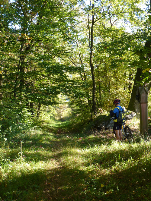 p1010373.jpg