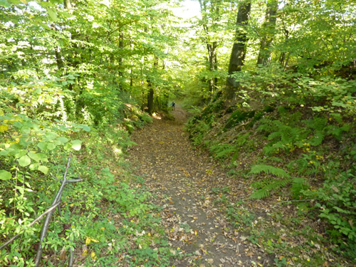 p1010375.jpg