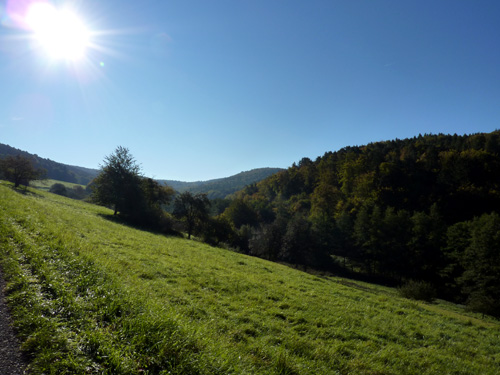 p1010376.jpg