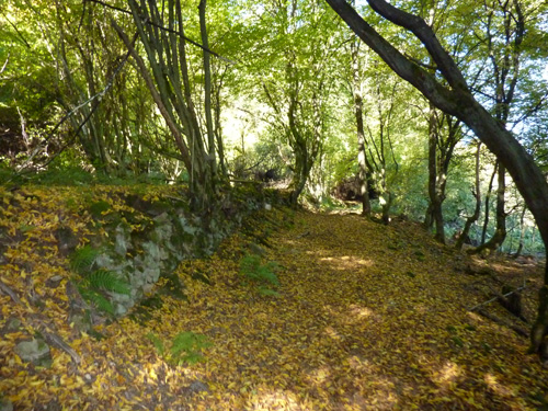 p1010378.jpg