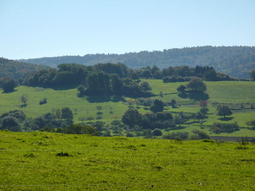 p1010382.jpg