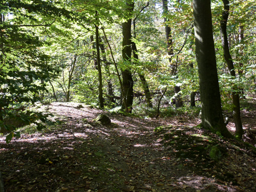p1010383.jpg