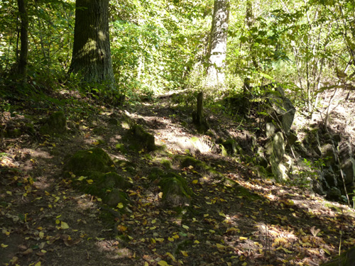 p1010384.jpg