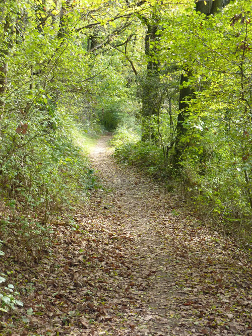 p1010400.jpg