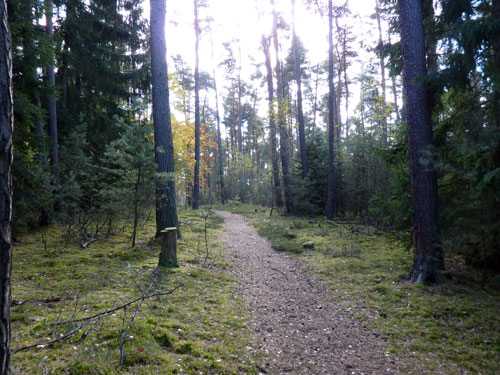 p1010402.jpg