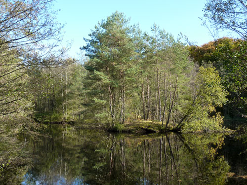p1010404.jpg