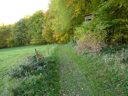 p1010414.jpg