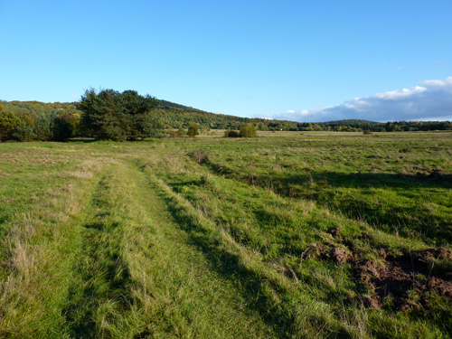 p1010421.jpg