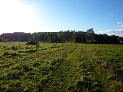p1010422.jpg