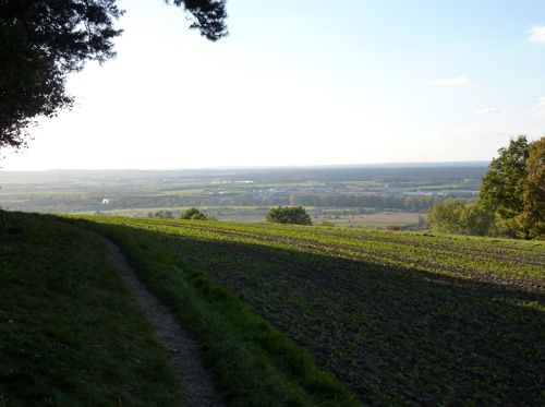 p1010424.jpg