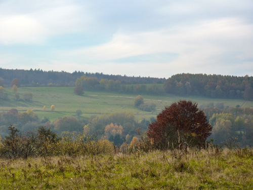 p1010471.jpg