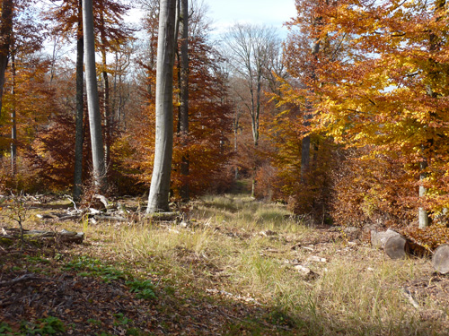 p1010475.jpg