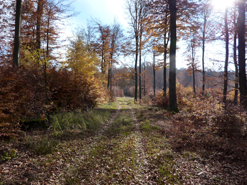 p1010476.jpg