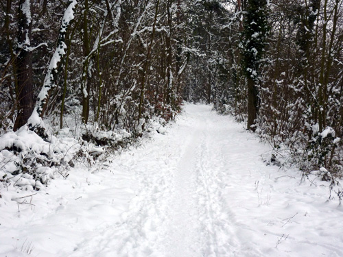 p1010735.jpg