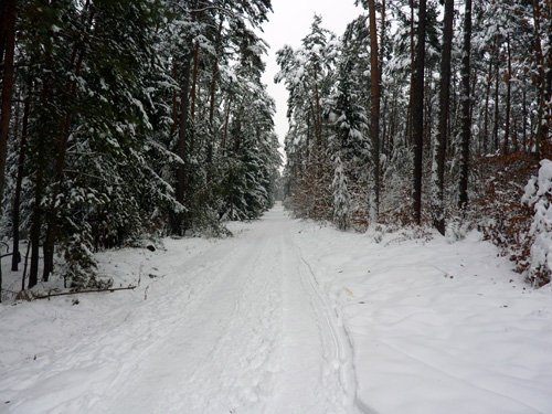 p1010736.jpg