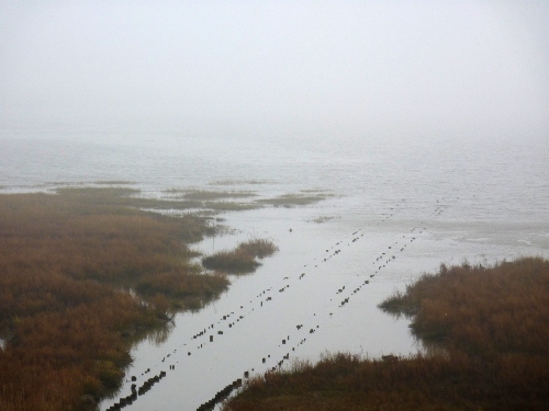 p1010946.JPG