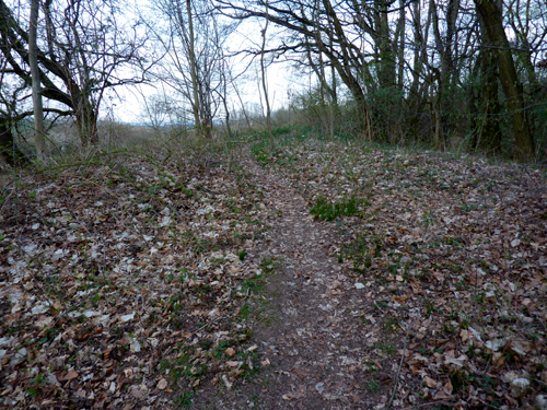 p1020174.jpg