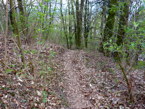 p1020175.jpg