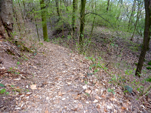 p1020176.jpg