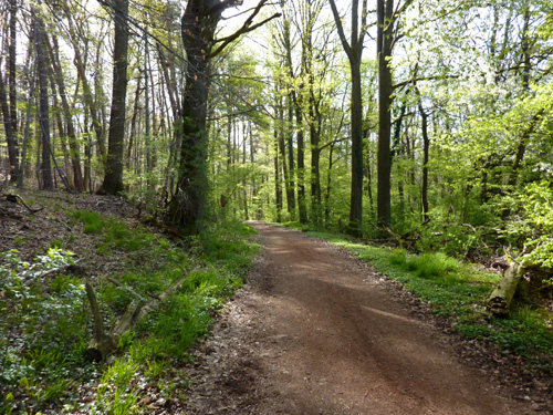 p1020192.jpg