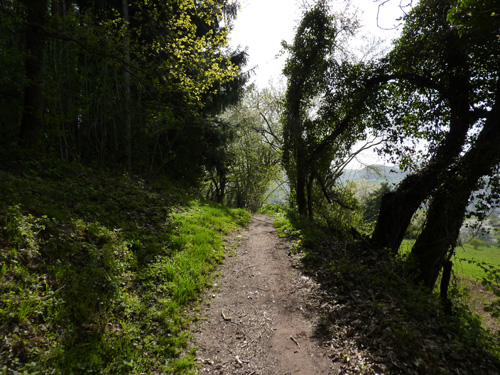 p1020194.jpg