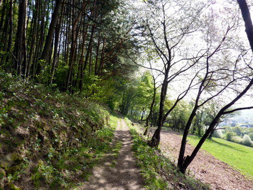p1020195.jpg
