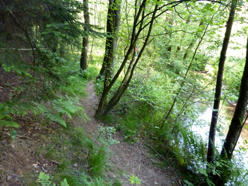 p1020417.jpg