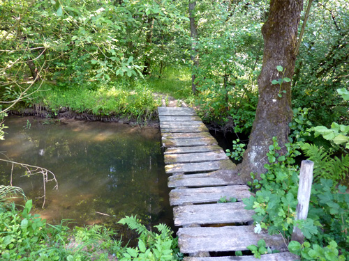 p1020418.jpg