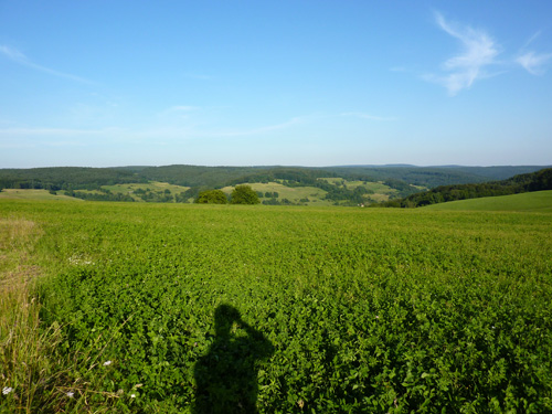 p1020539.jpg