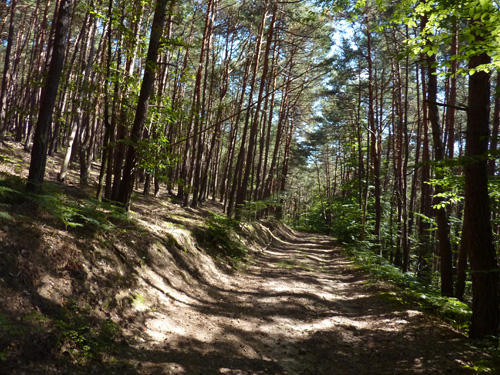 p1020893.jpg