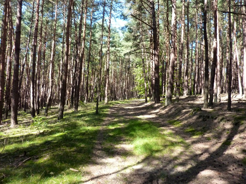 p1020896.jpg