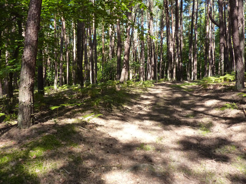 p1020897.jpg