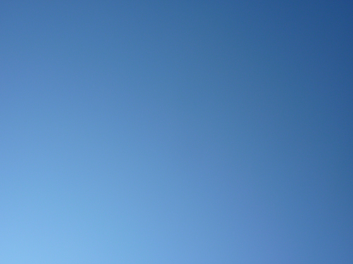 p1030209.jpg