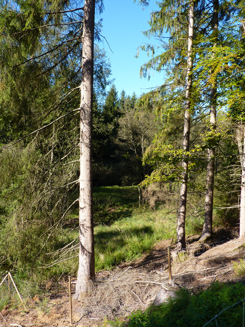 p1030215.jpg