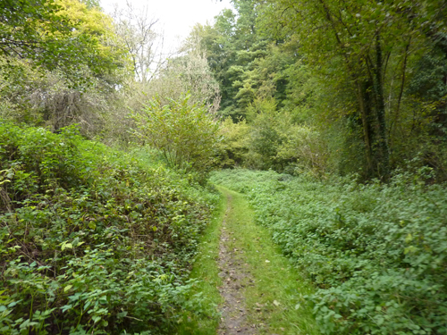 p1030231.jpg