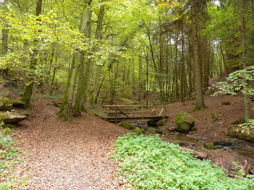 p1030237.jpg