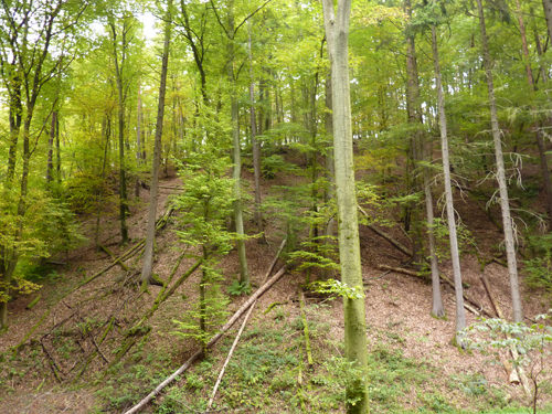 p1030242.jpg