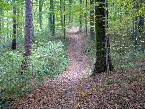 p1030290.jpg