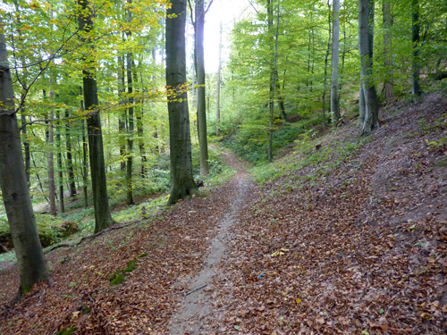 p1030291.jpg