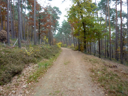 p1030304.jpg