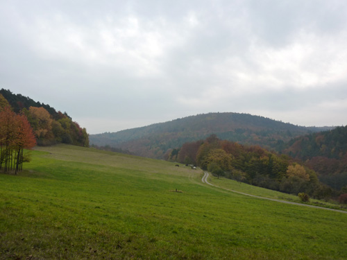 p1030309.jpg