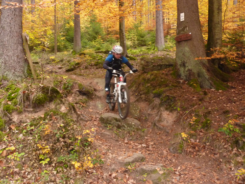 p1030333.jpg