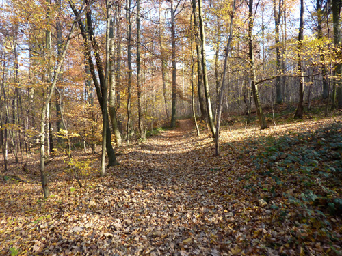 p1030368.jpg