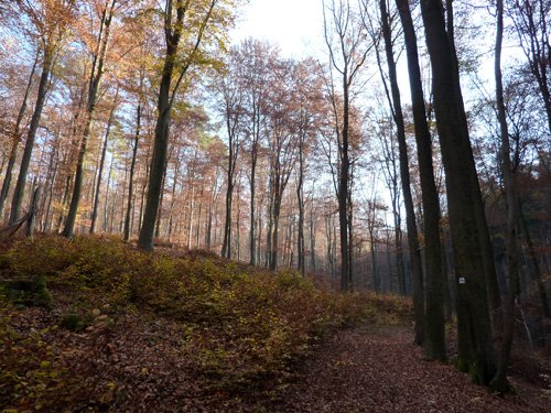 p1030374.jpg