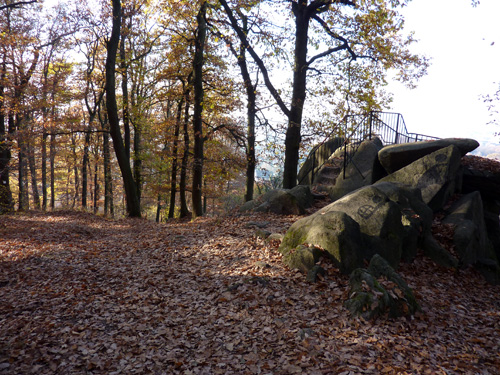 p1030415.jpg