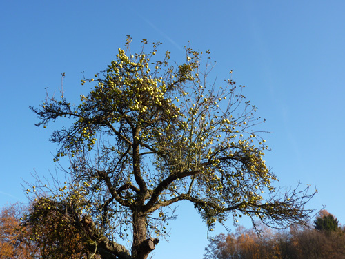 p1030417.jpg
