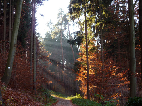 p1030418.jpg